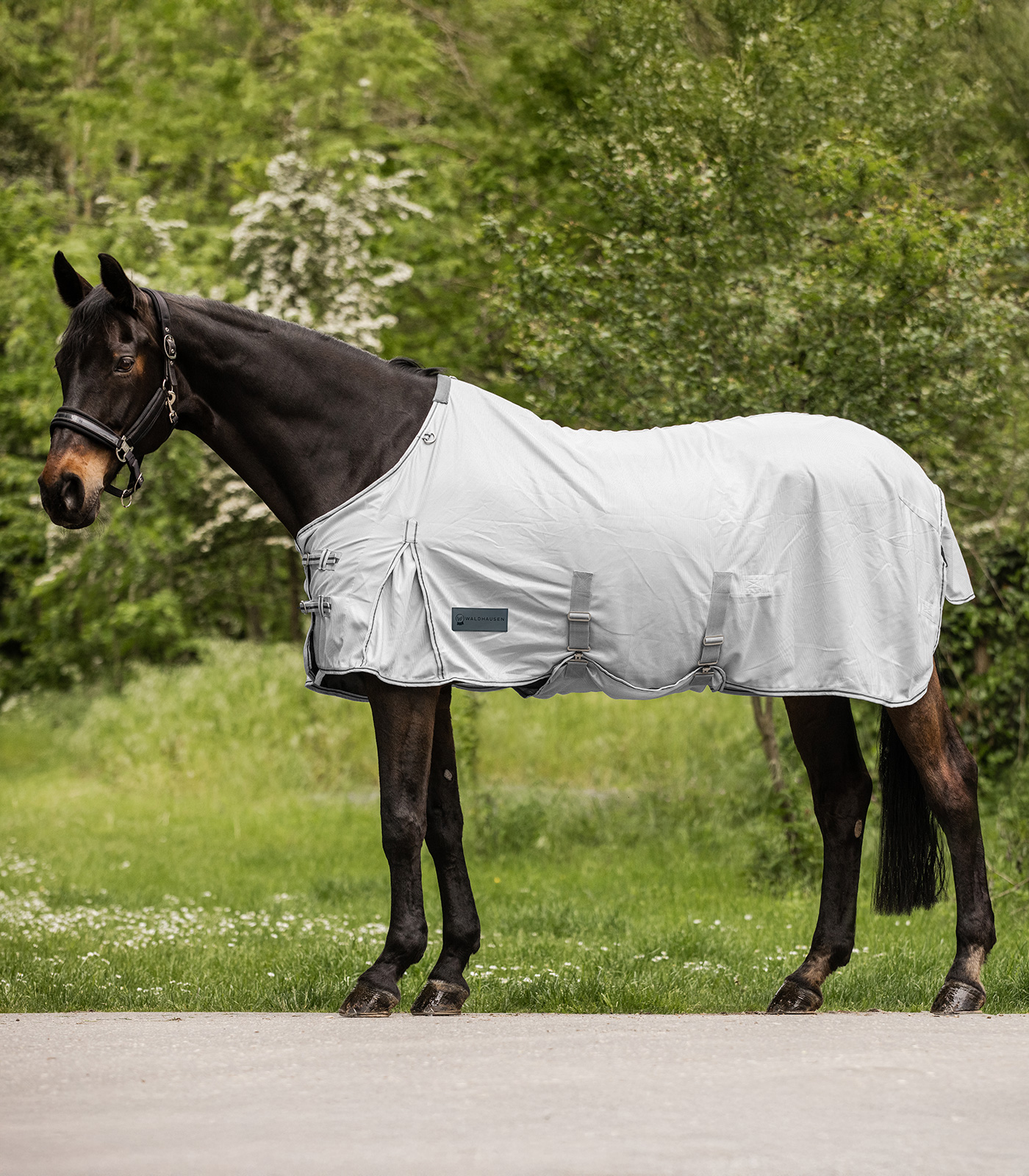 Couverture Anti-Mouches Waldhausen Avec Col Amovible 125 Cm - Protection Cheval Gris Argenté