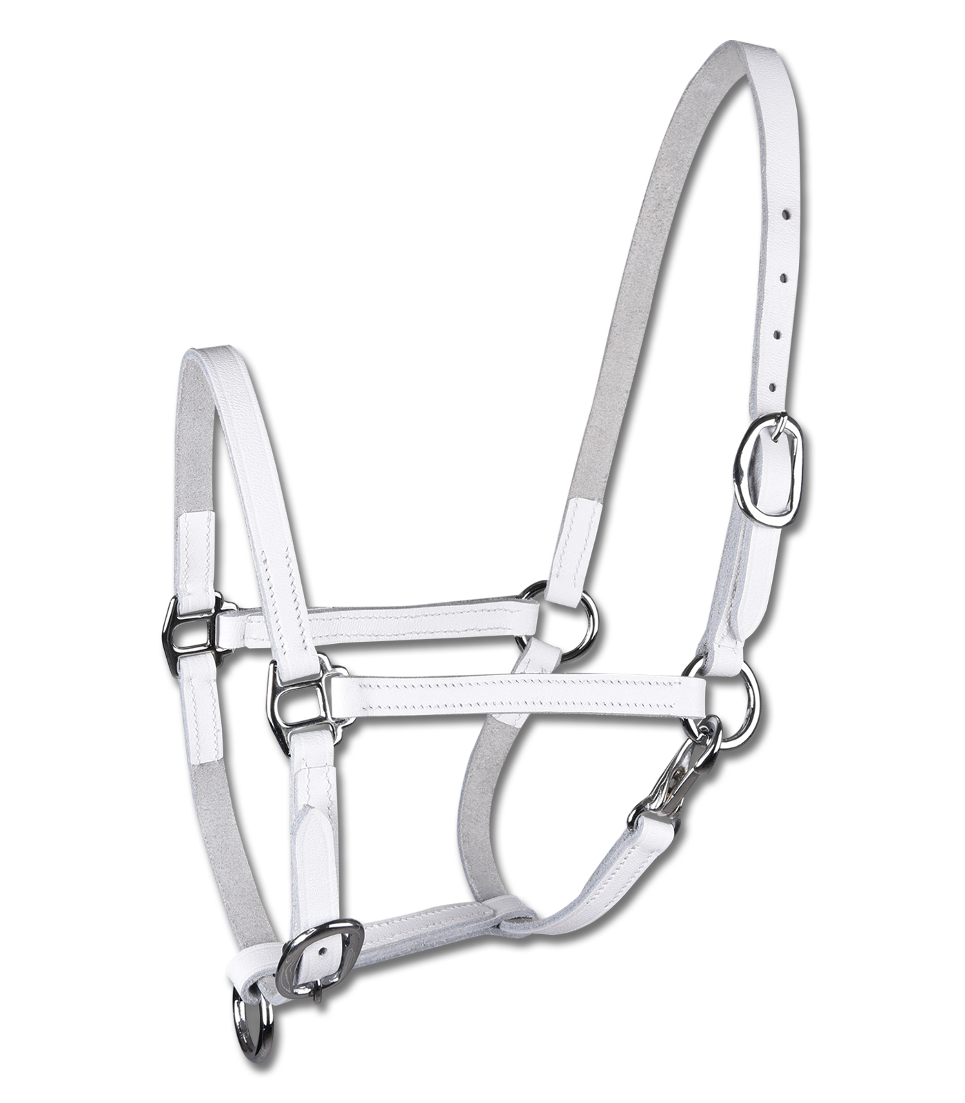 STAR foal show halter, leather white