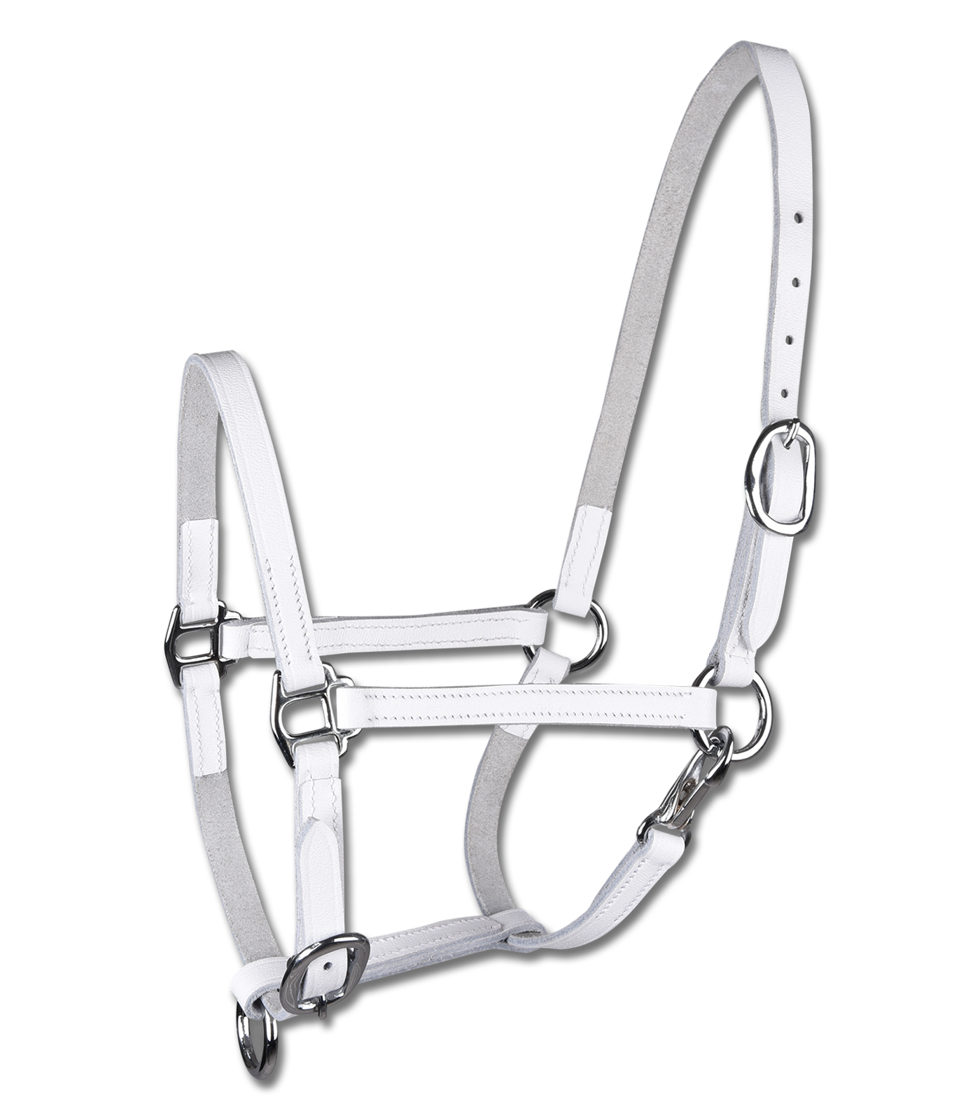 STAR foal show halter, leather