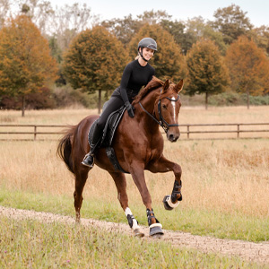 Image title Image alternate text