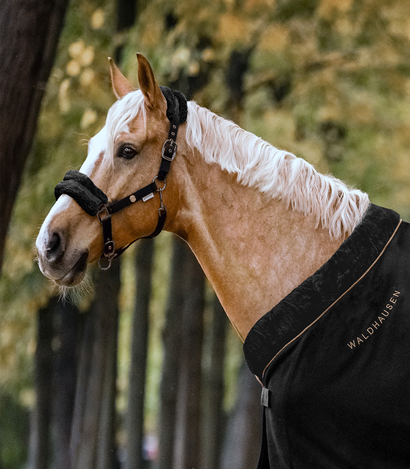 Modern Rosé Halter