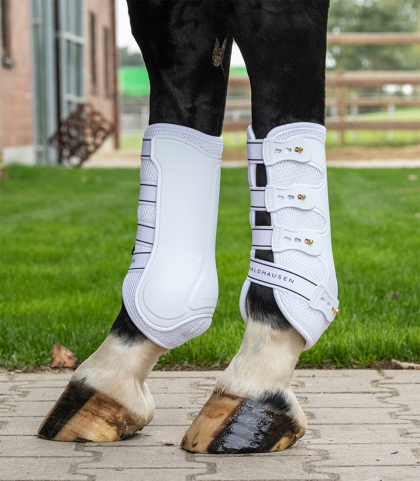 Breath Tendon Boots