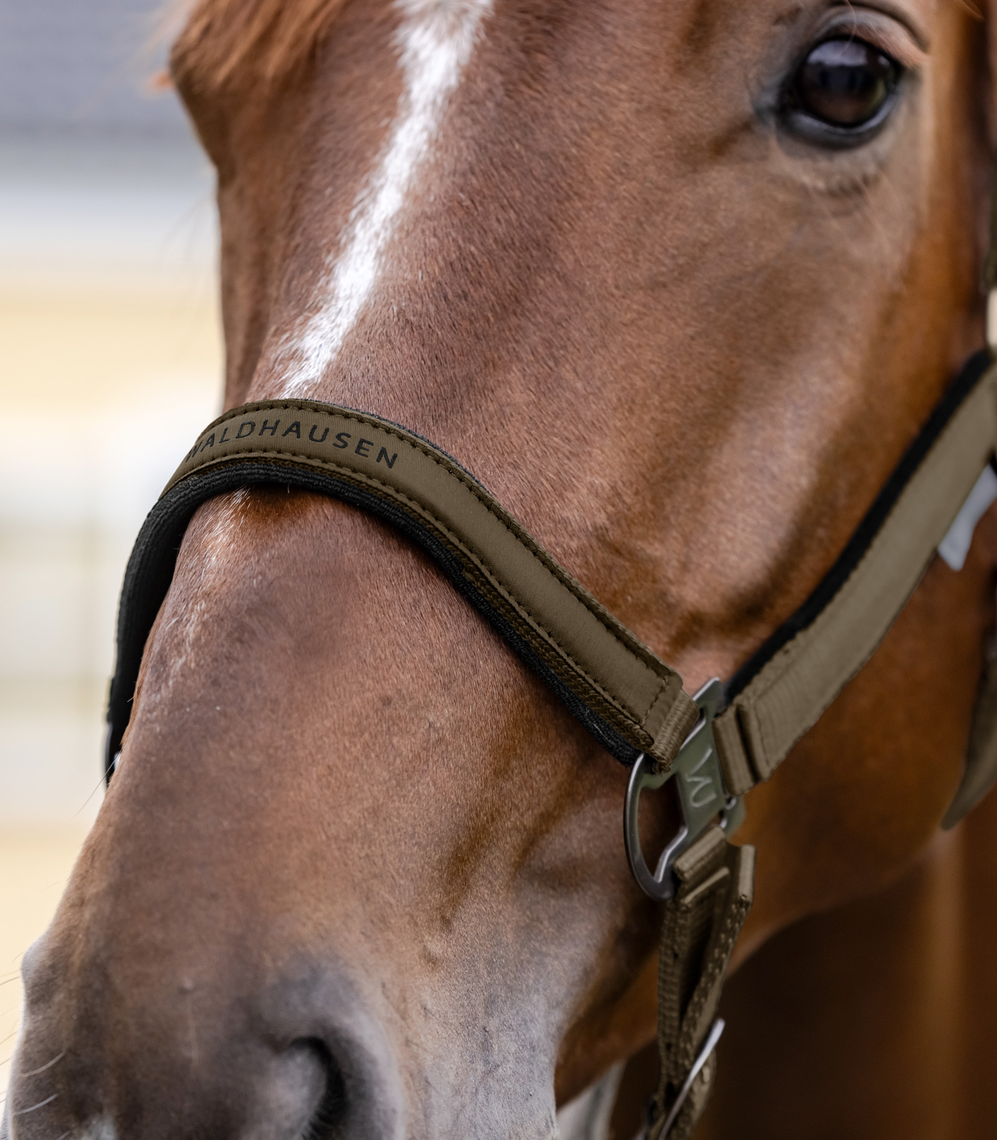 Cabezada Athletic Cabezada Athletic