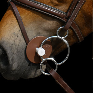 Image alternate text