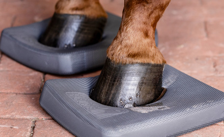 Balance Pad fürs Pferd – Übungen für Balance & Tiefenmuskulatur
