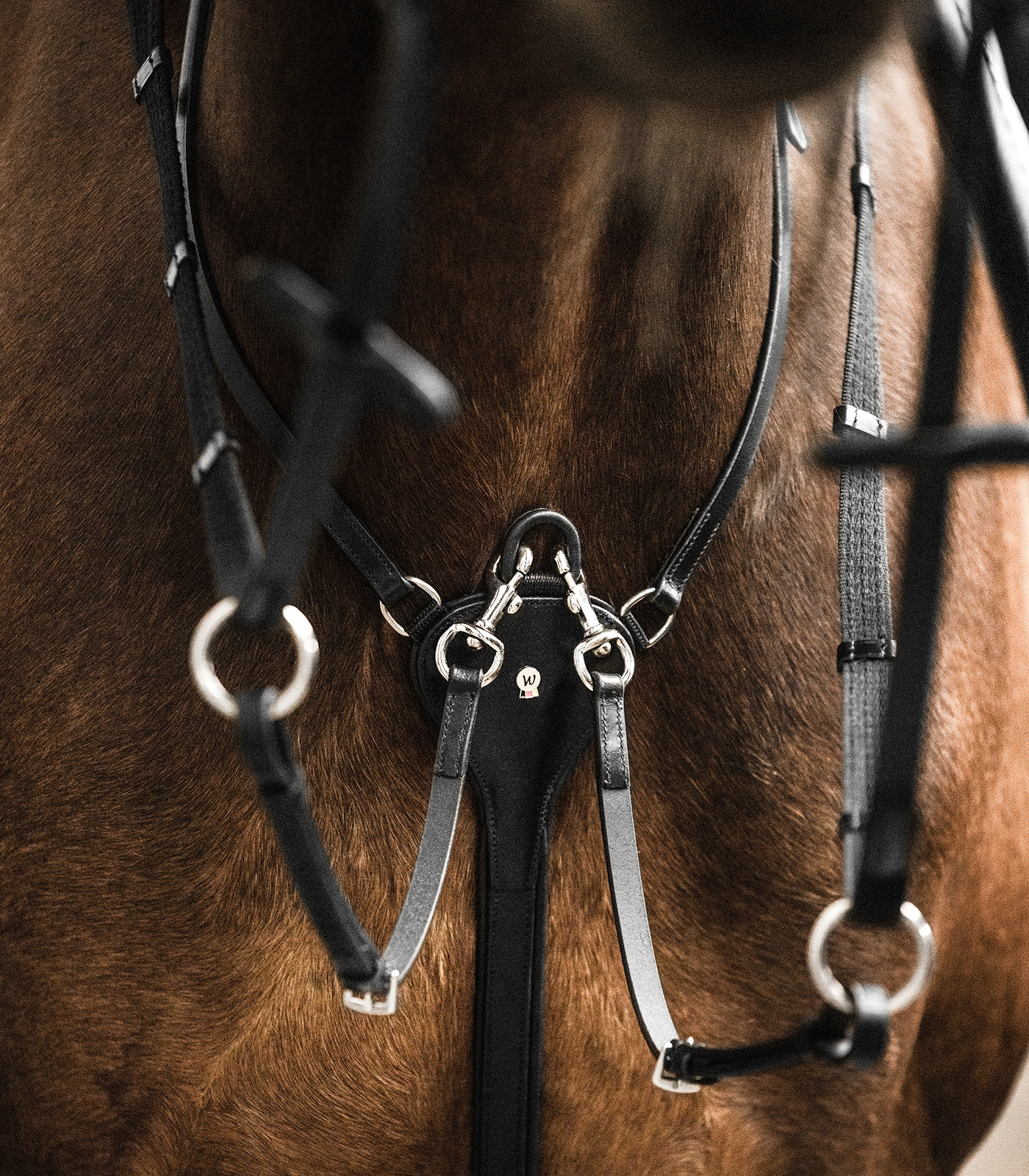 Waldhausen X-Line Martingale, Professional