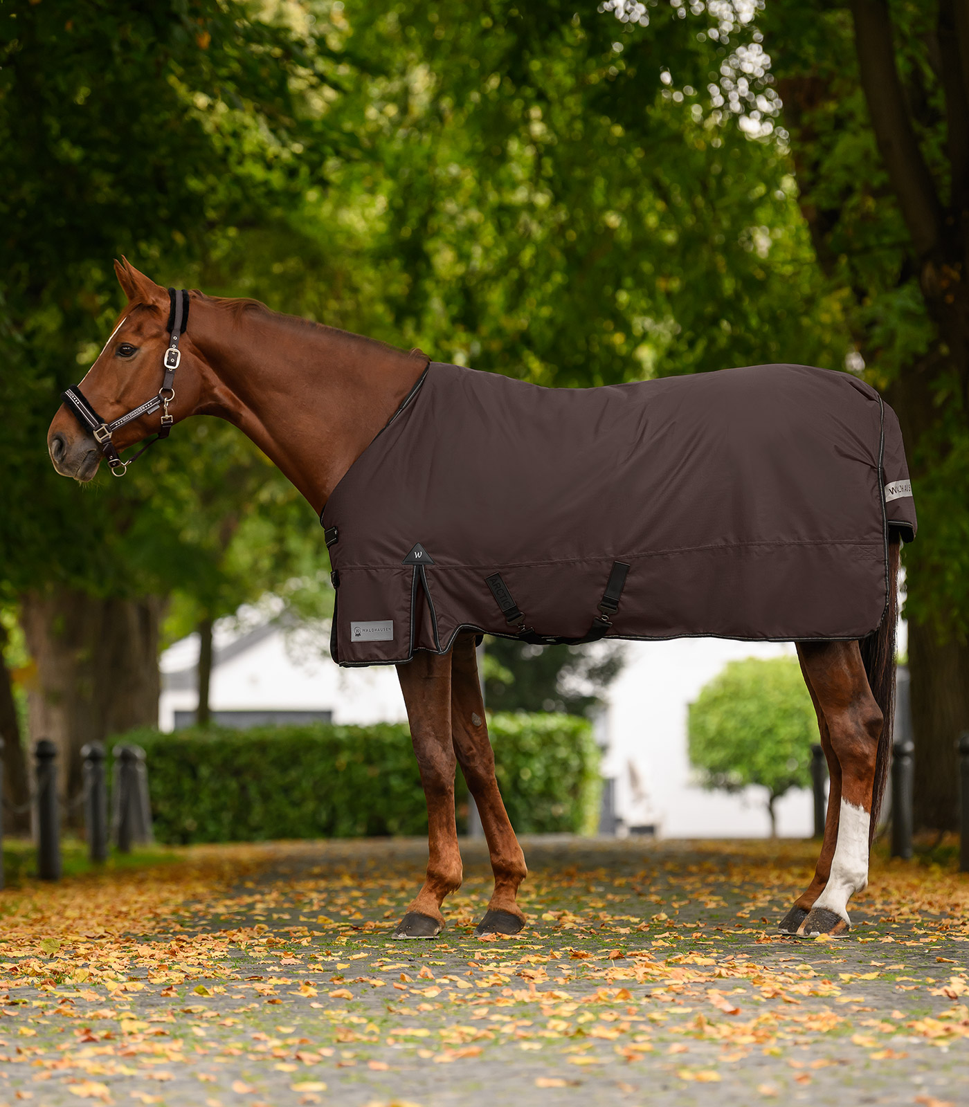 ARCTIC turnout rug, 100 g espresso