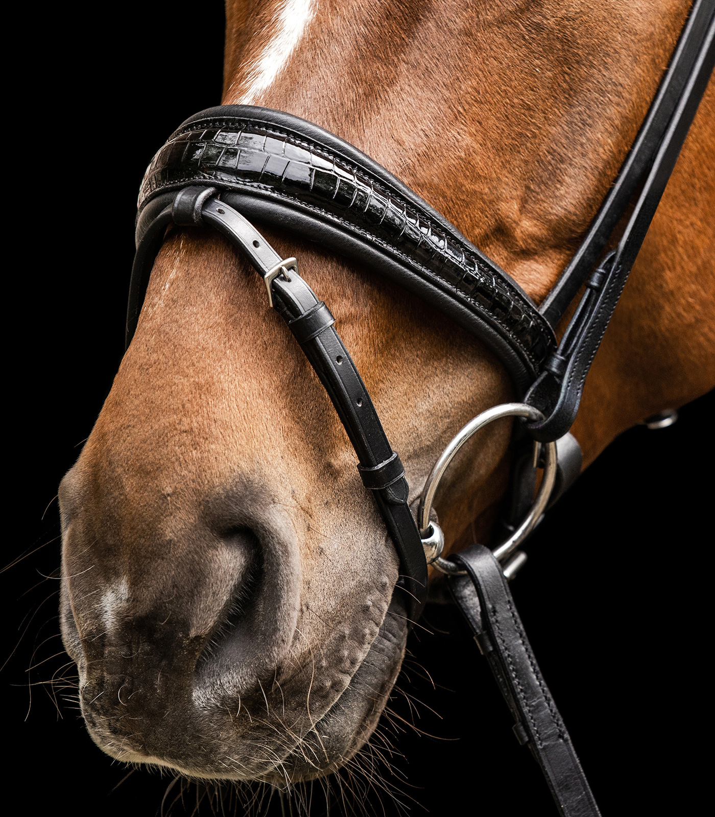 Waldhausen S-Line Bridle Magic