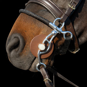 Image alternate text