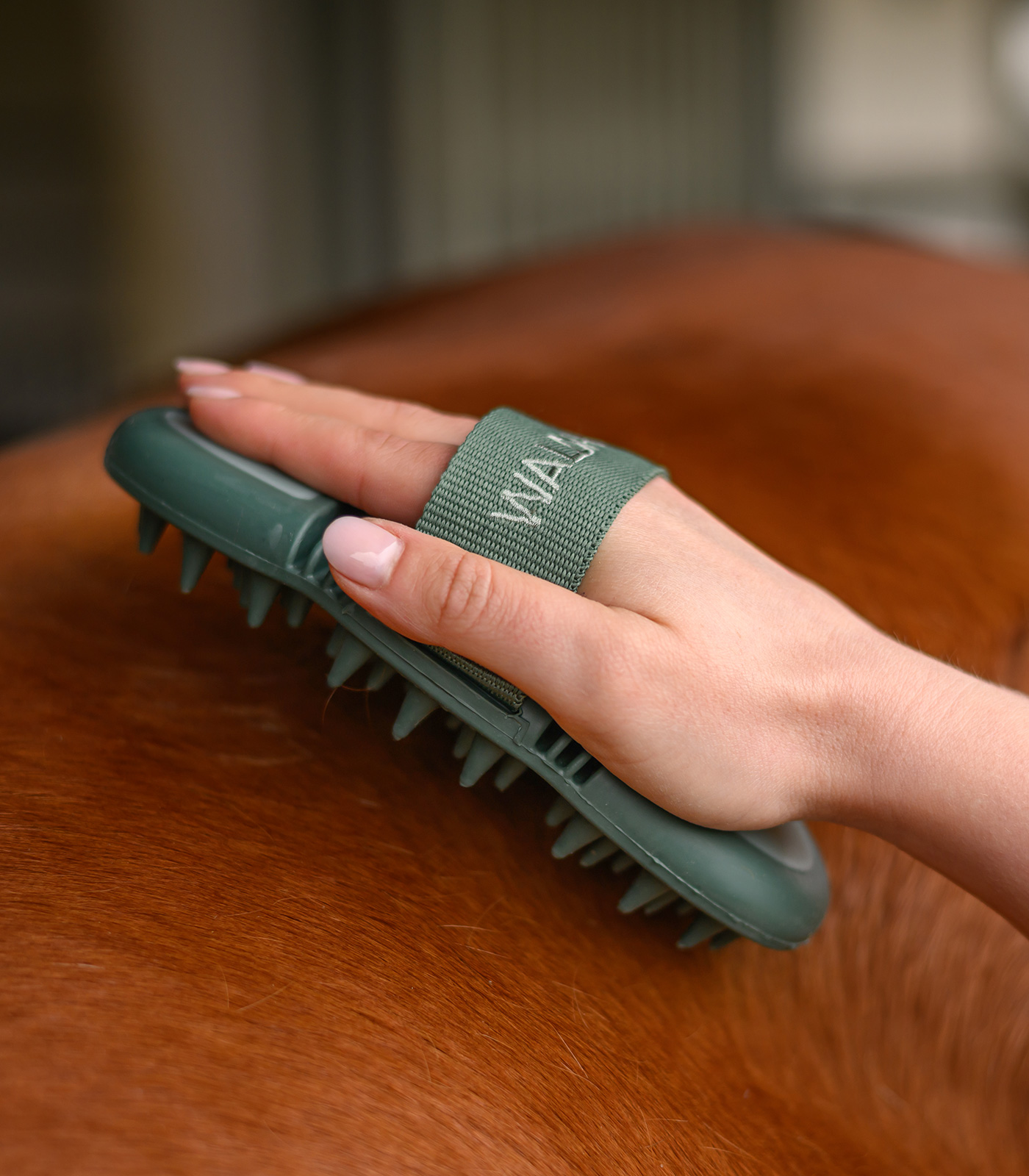 Étrille de massage Flex