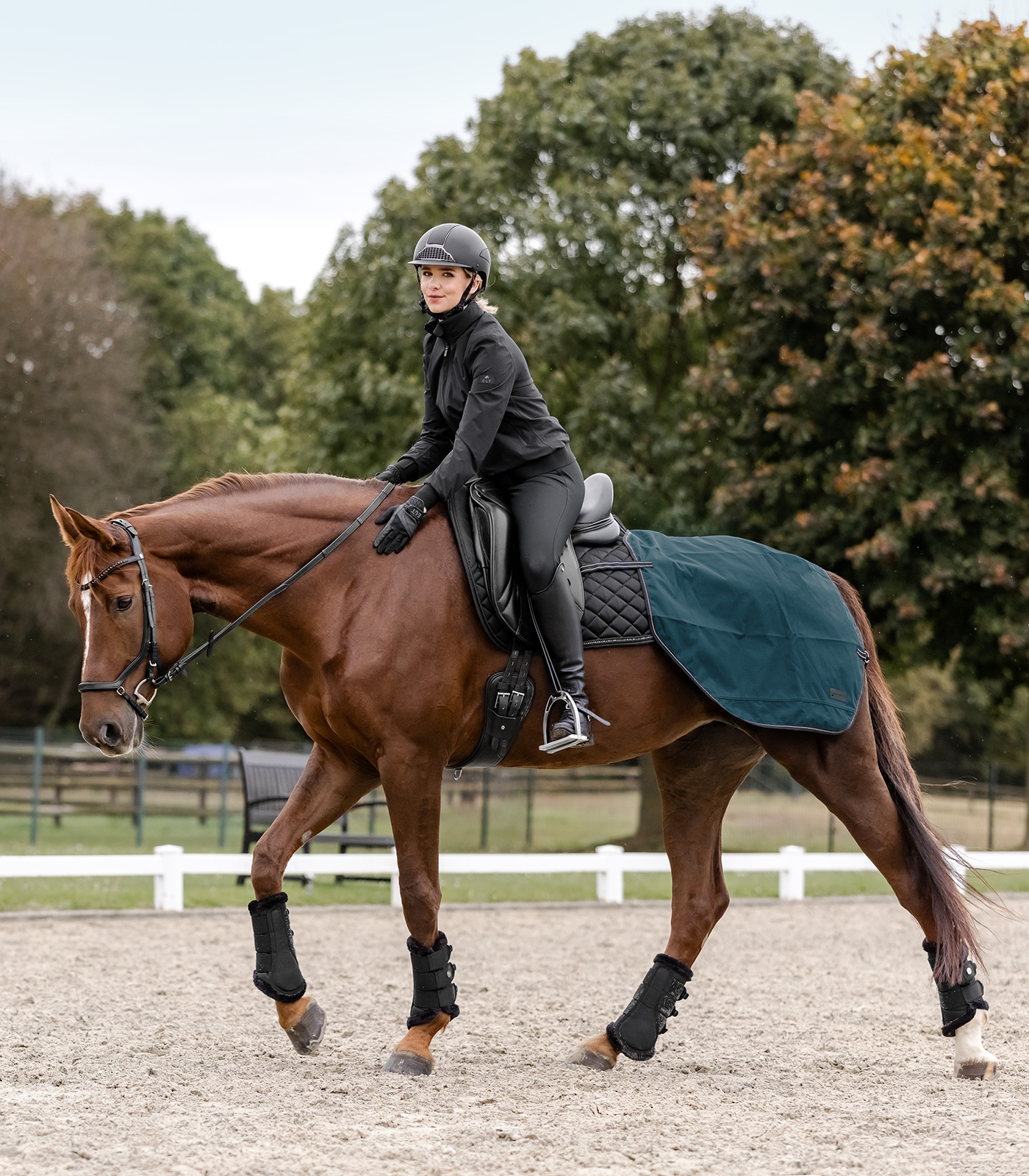 Regen-Nierendecke Salzburg