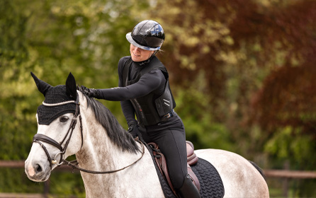 Safe equipment for horse and rider Safe equipment for horse and rider