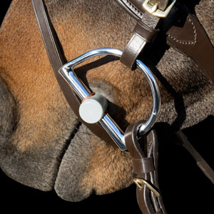 Image alternate text