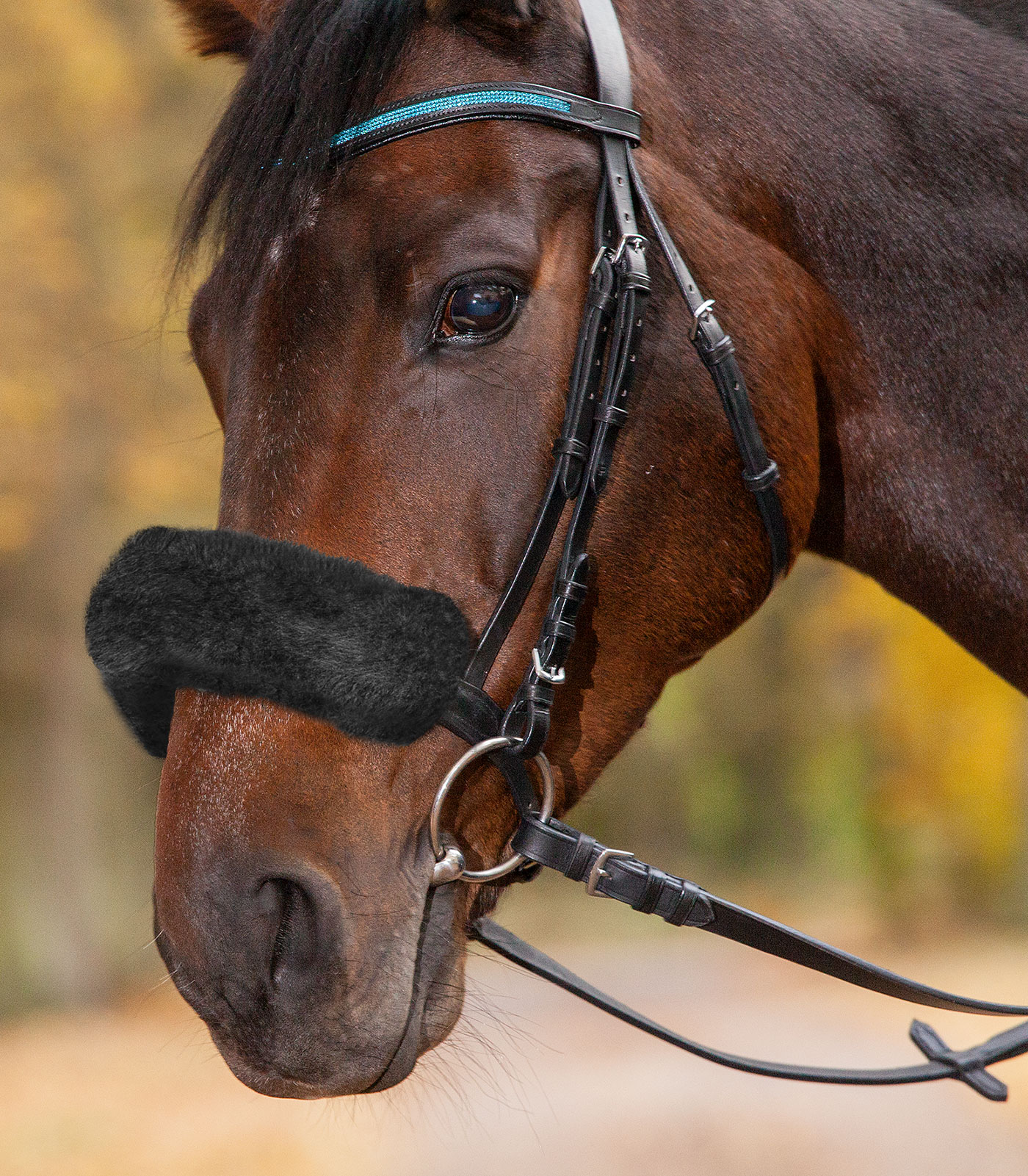 Real Lambskin Noseband - or Headpiece-Cushioning