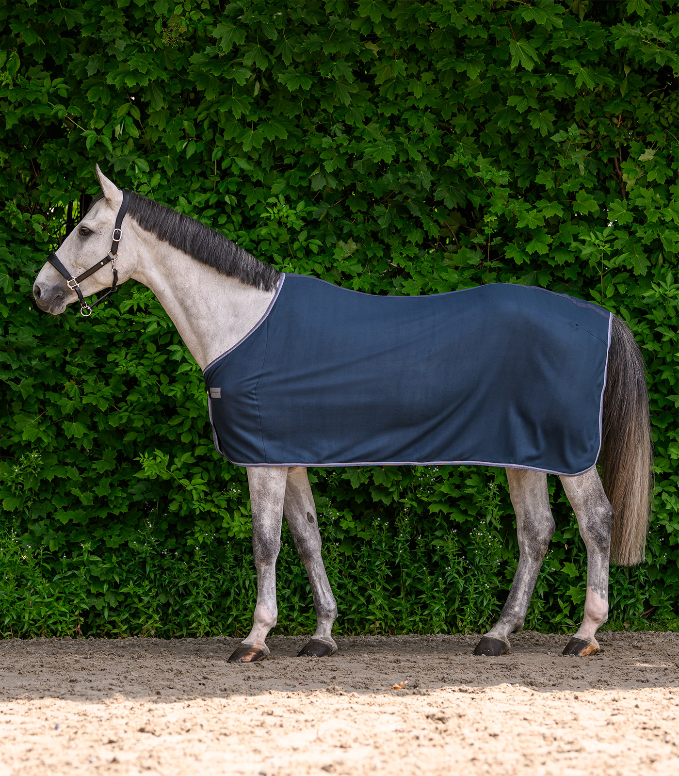 ECONOMIC Fleecedecke nachtblau