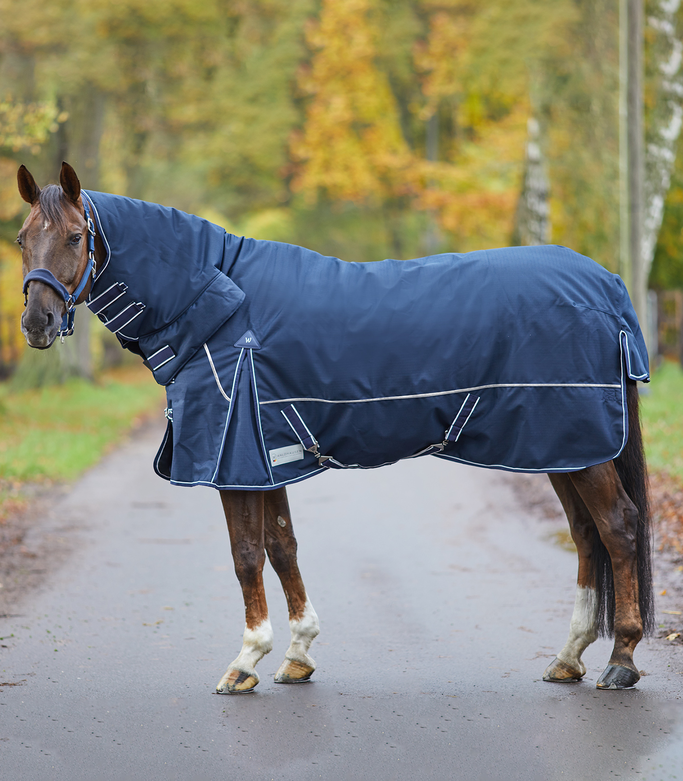 Couvre-cou polaire cheval Economic - Waldhausen - WALDHAUSEN - Couvre-cou  cheval - Equestra