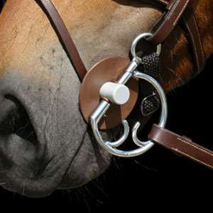 Image alternate text