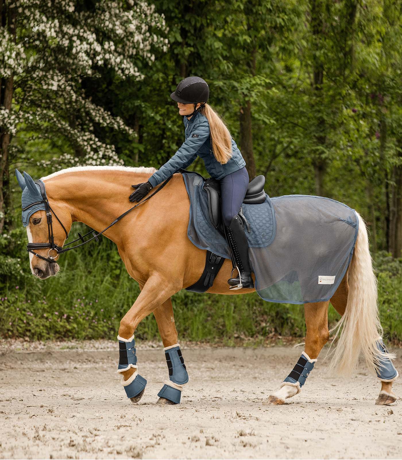 Guêtre de dressage Pegasus