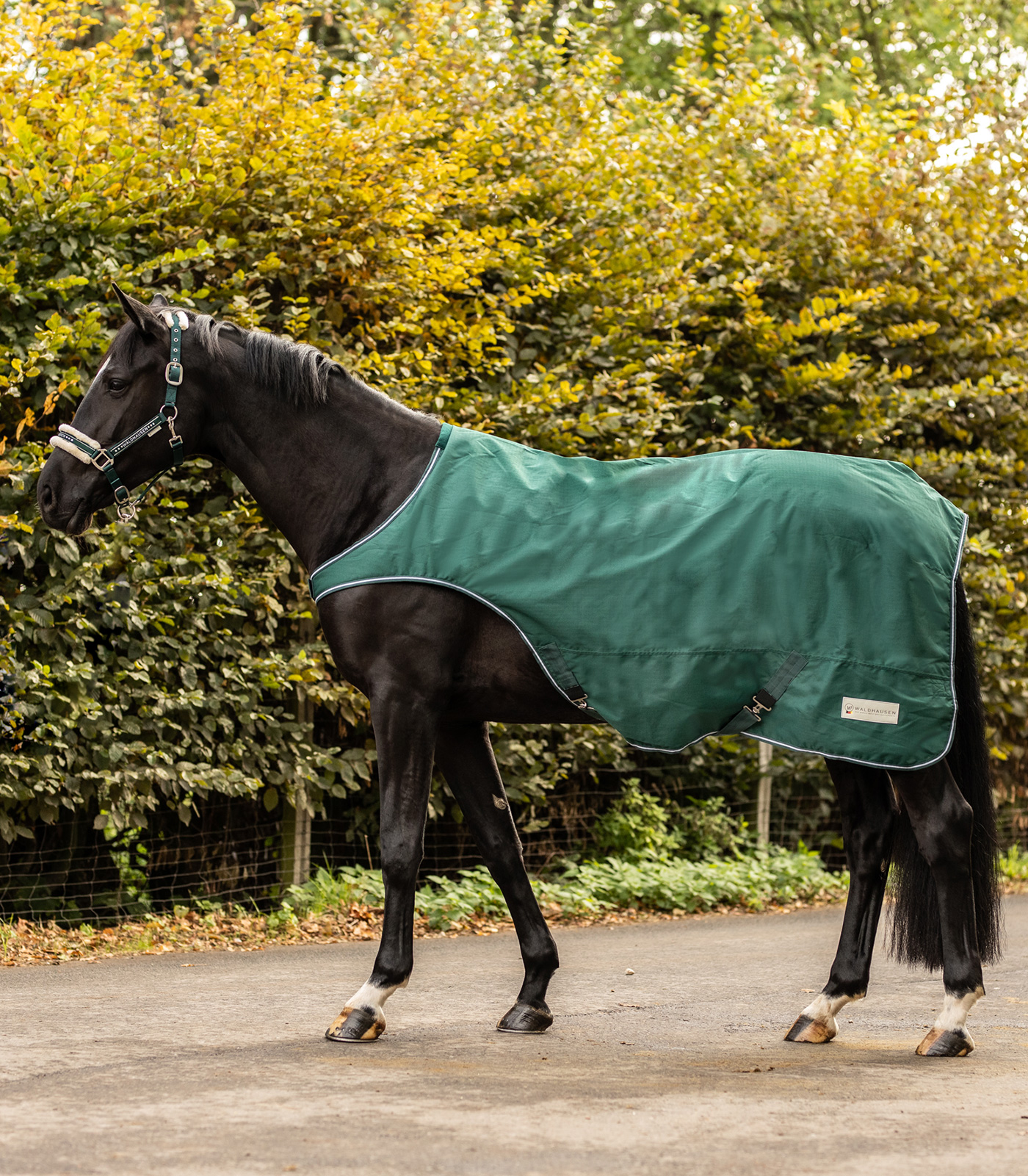 COMFORT Horsewalker Rug, 100 g fir green