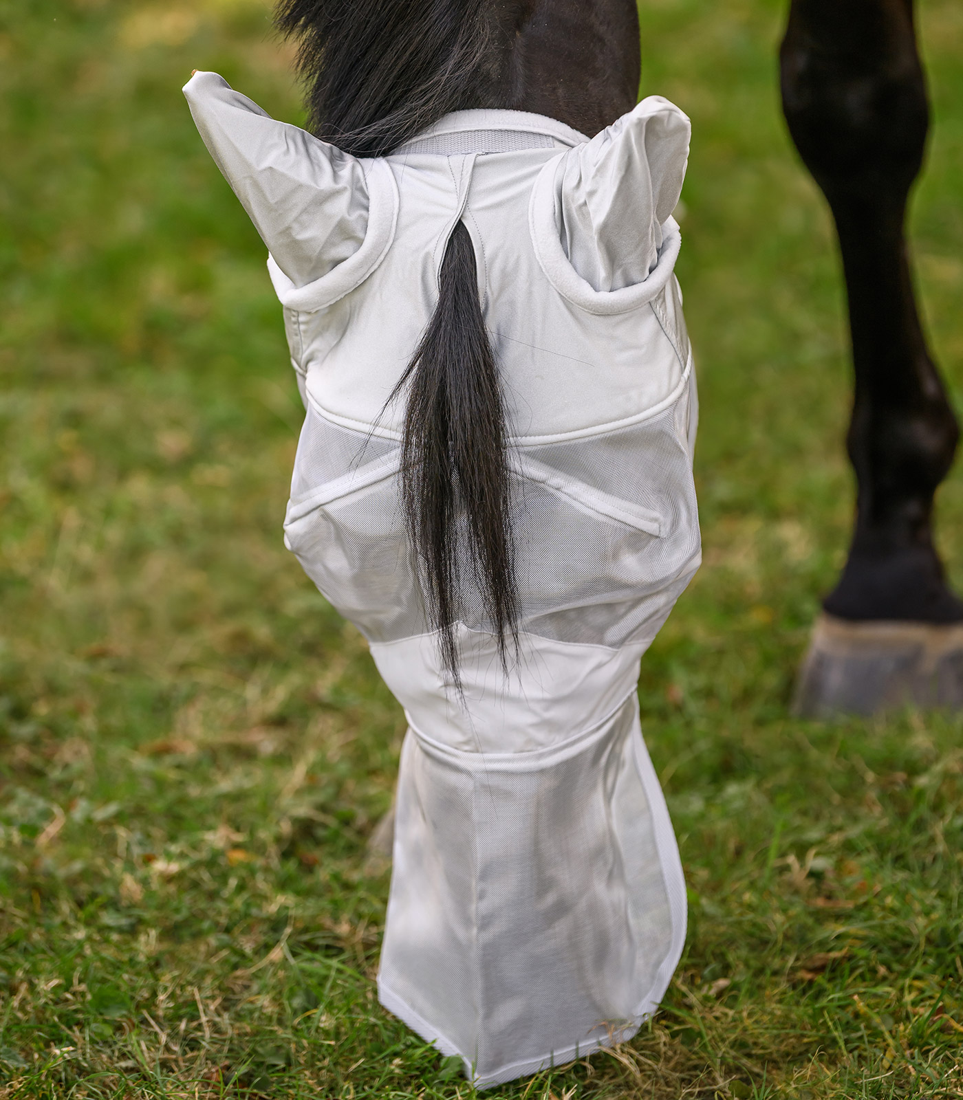 PREMIUM Fly mask with ear and nose protection PREMIUM Fly mask with ear and nose protection