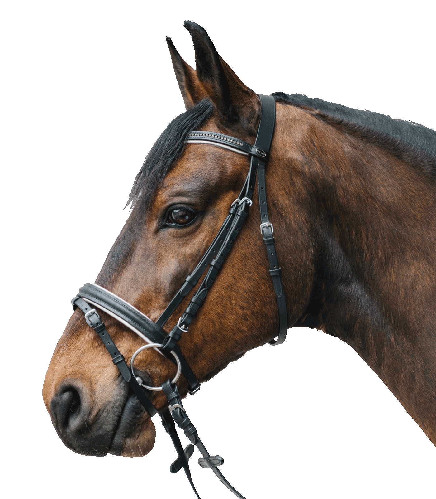 STAR bridle Diamond white
