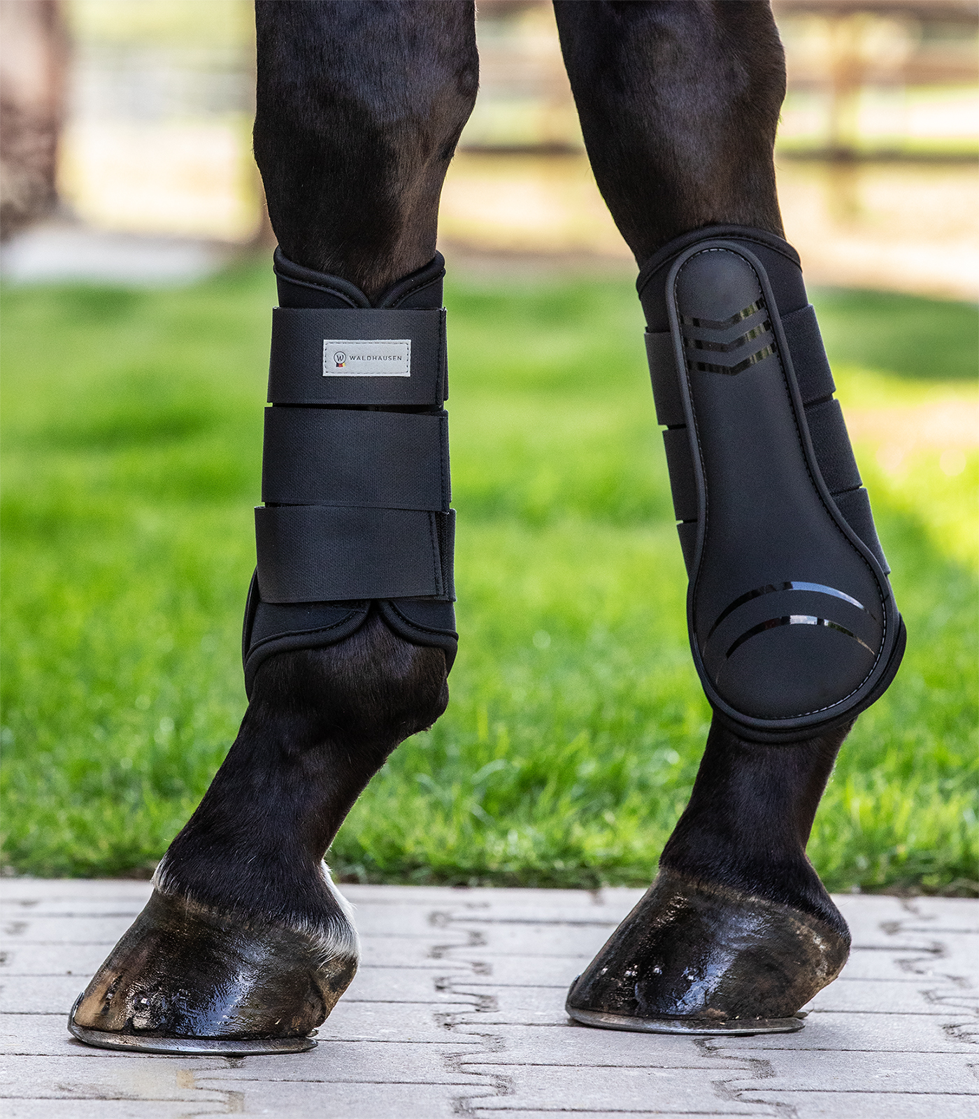 Basic Plus Tendon Boots