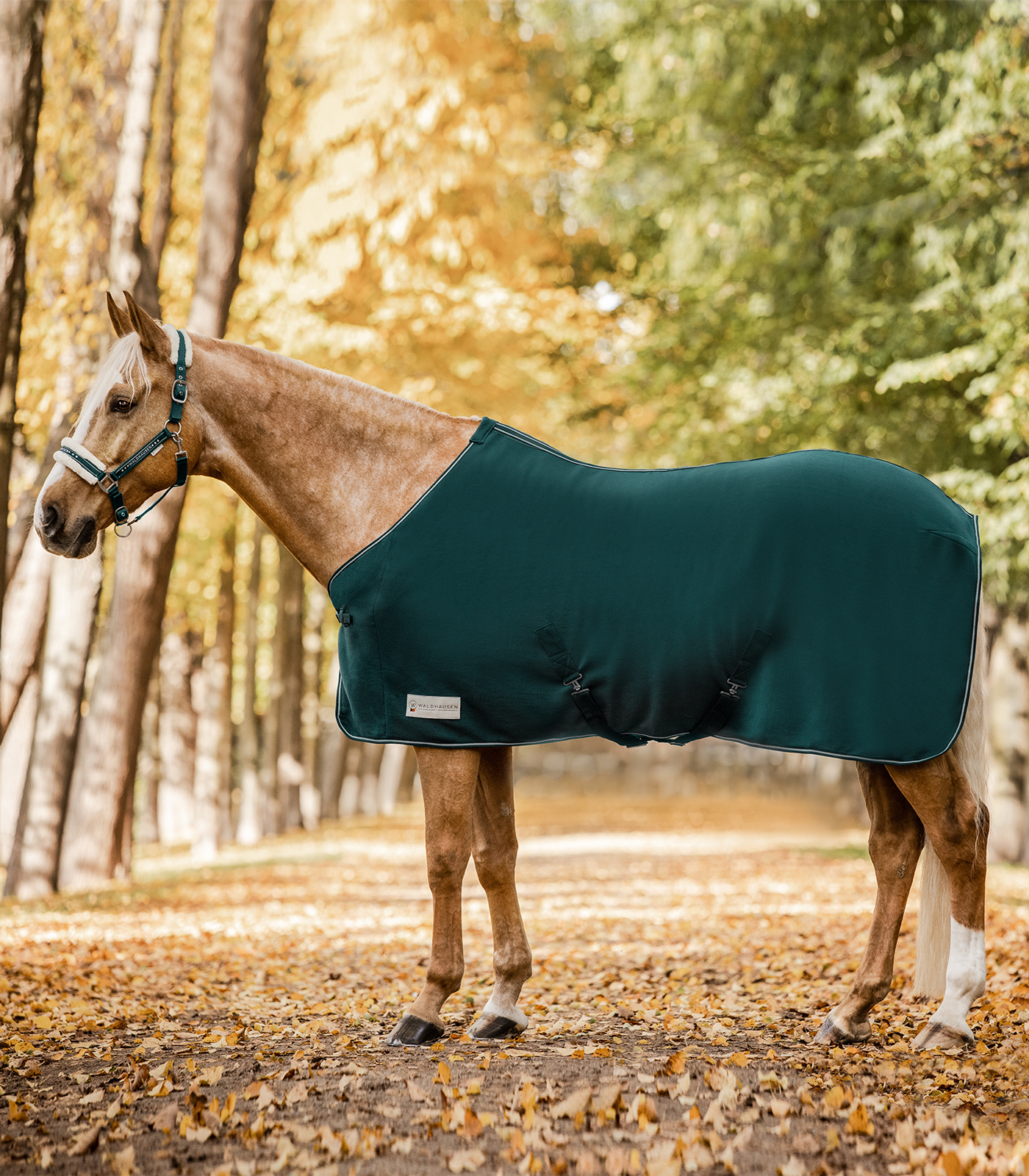 Chemise polaire ECONOMIC avec sangles croisées vert sapin