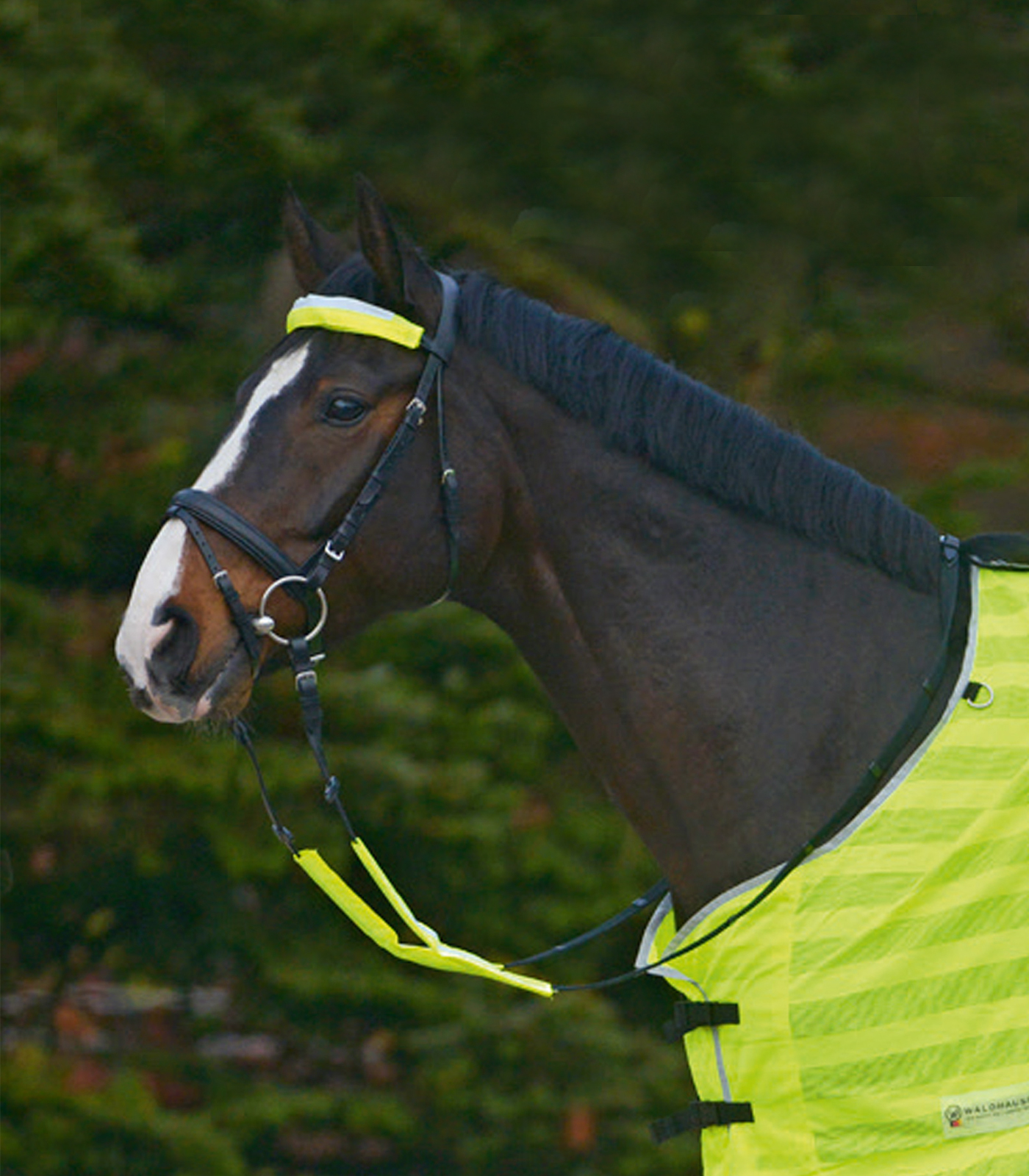 REFLEX  Bridle-Set neon yellow