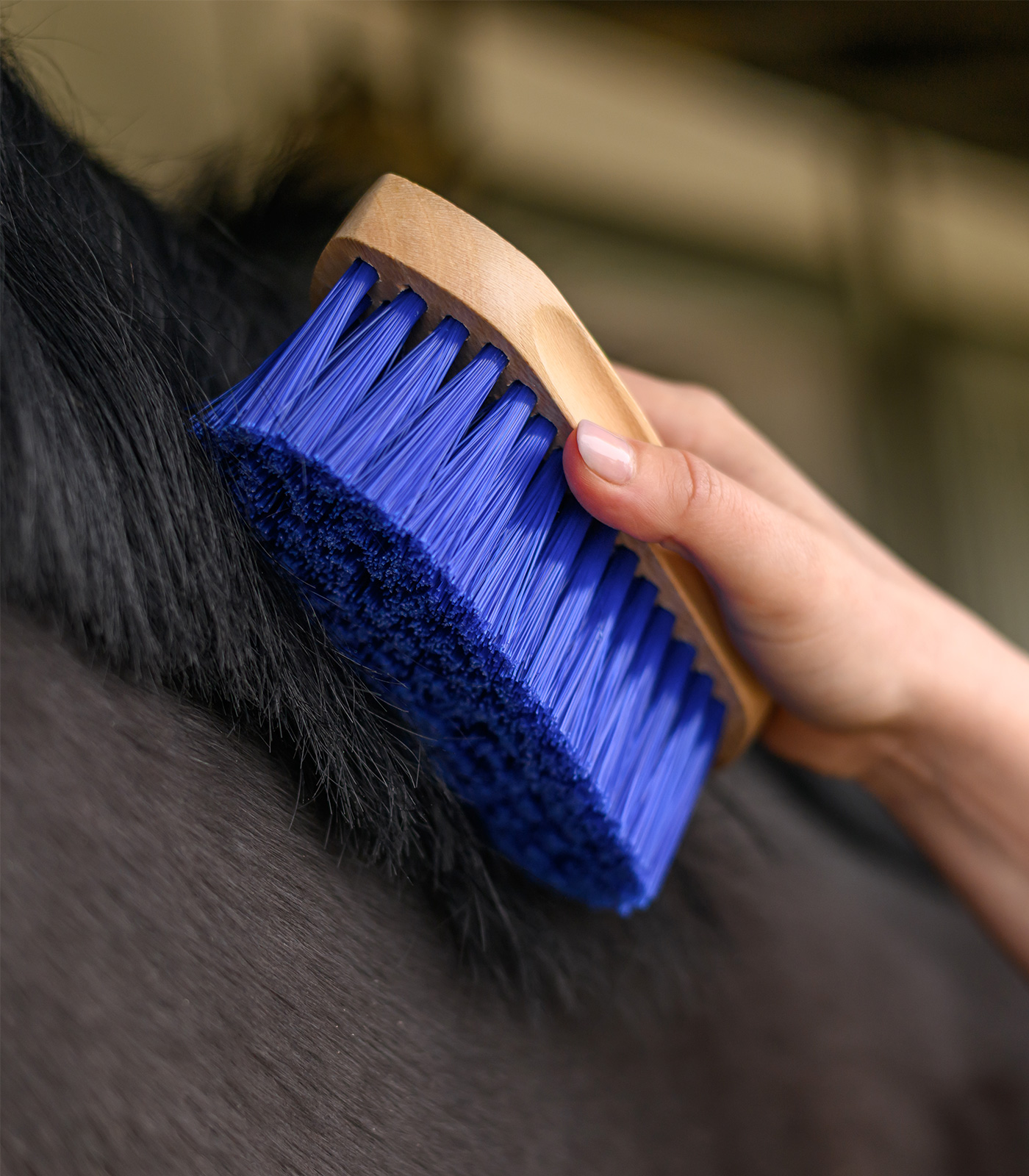Mane Brush