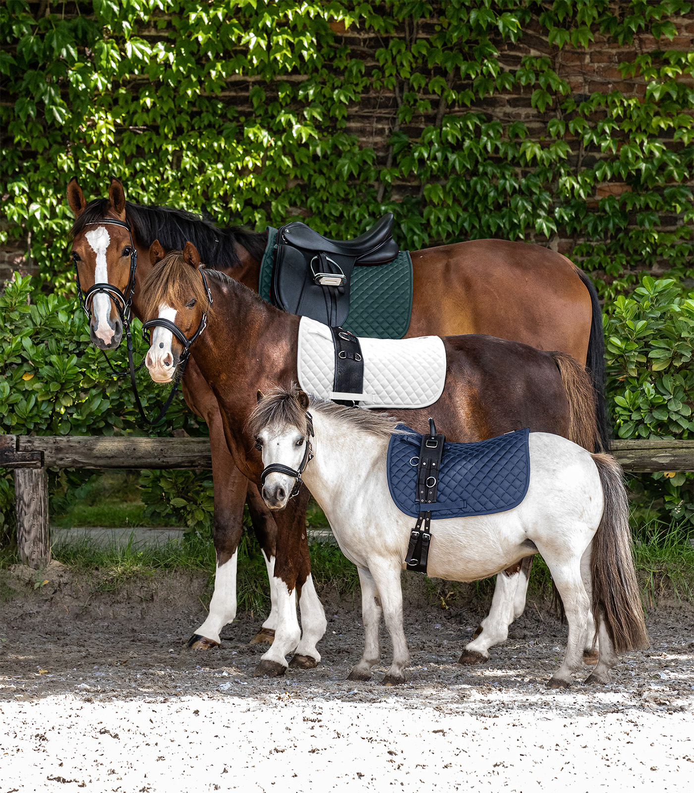 Felix Saddle Pad