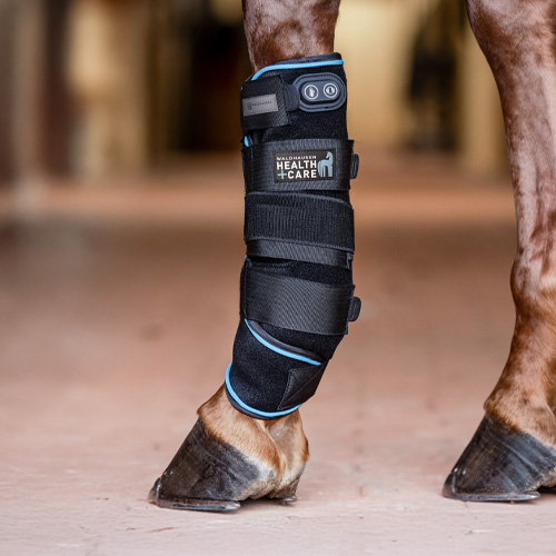 Image alternate text