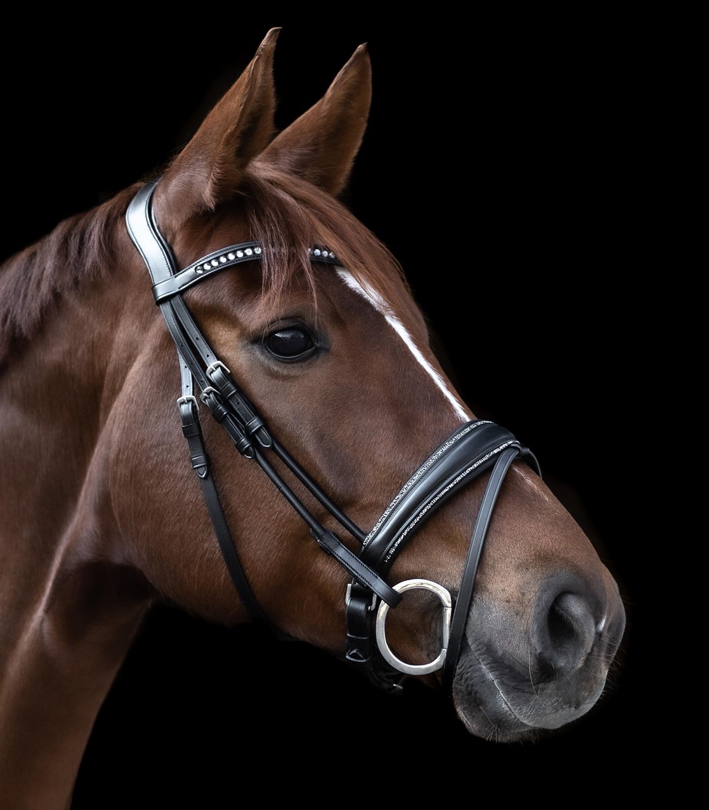 Waldhausen S-Line Snaffle Bridle Glamour