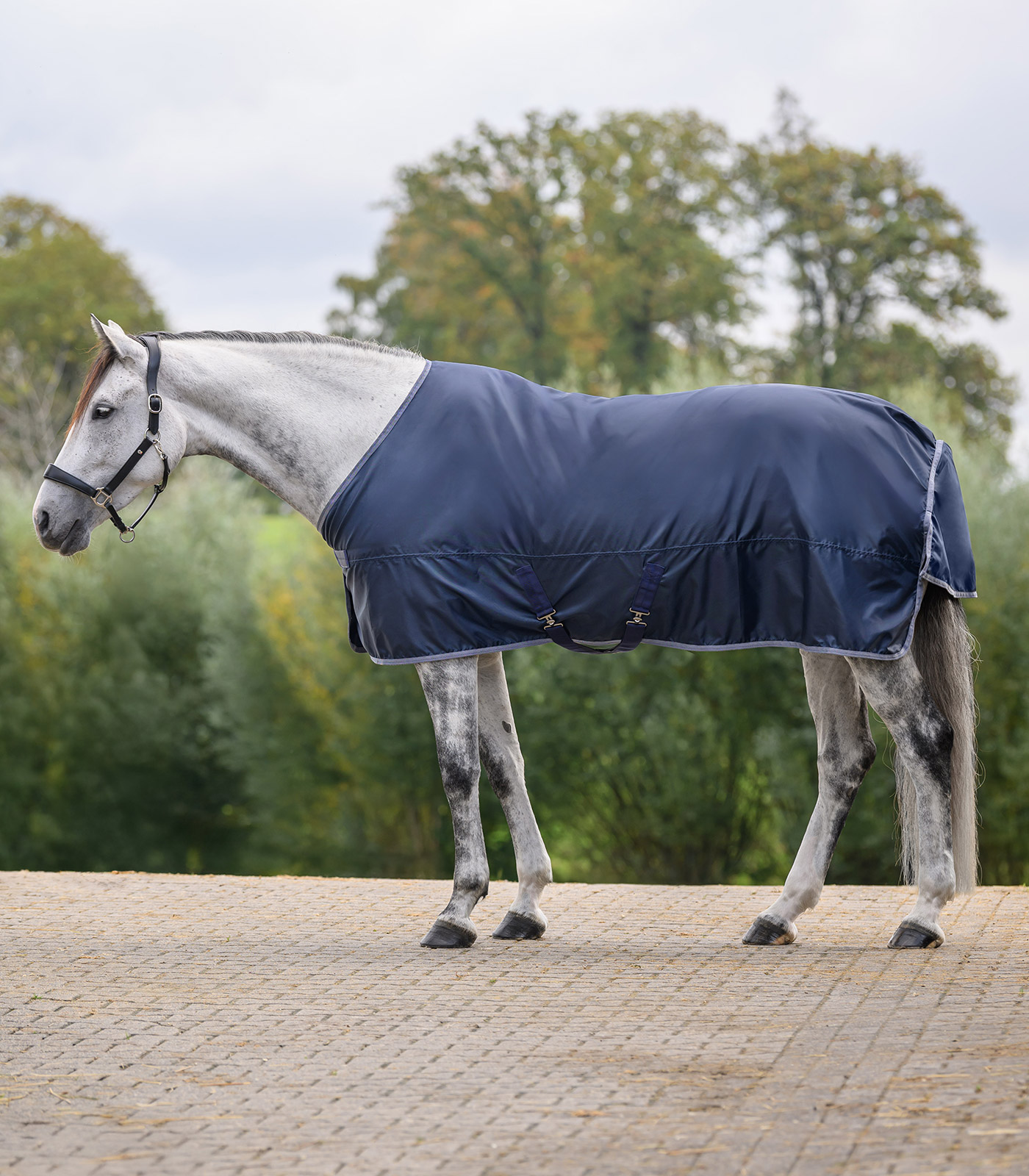 ECONOMIC Regendecke nachtblau