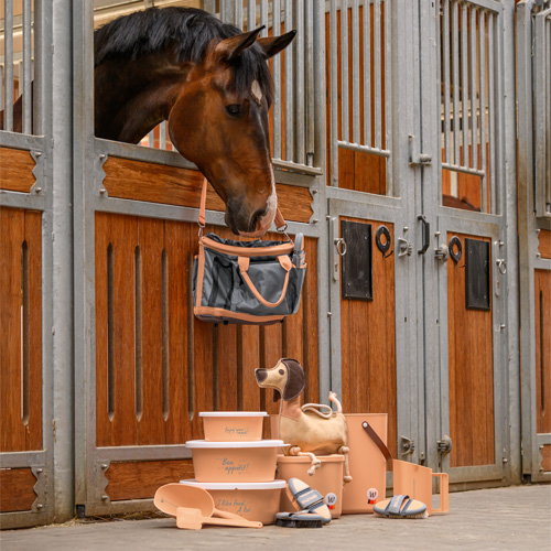 Sommerlich und frisch 