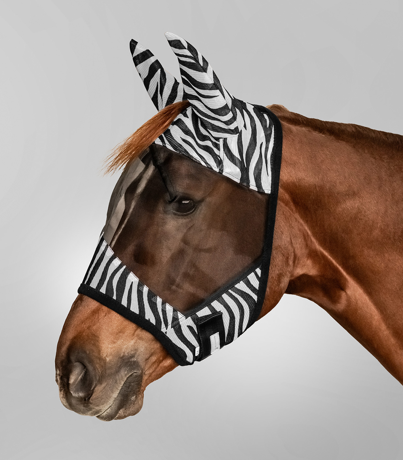 Fly mask Zebra