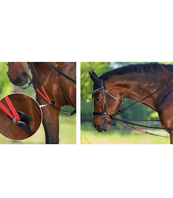 Waldhausen W-trainRein