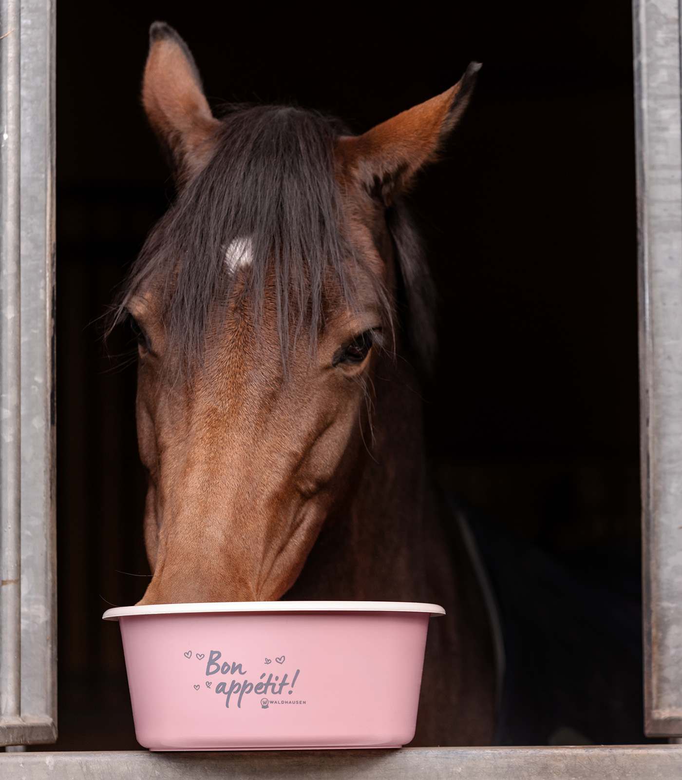 Feeding bowl with lid