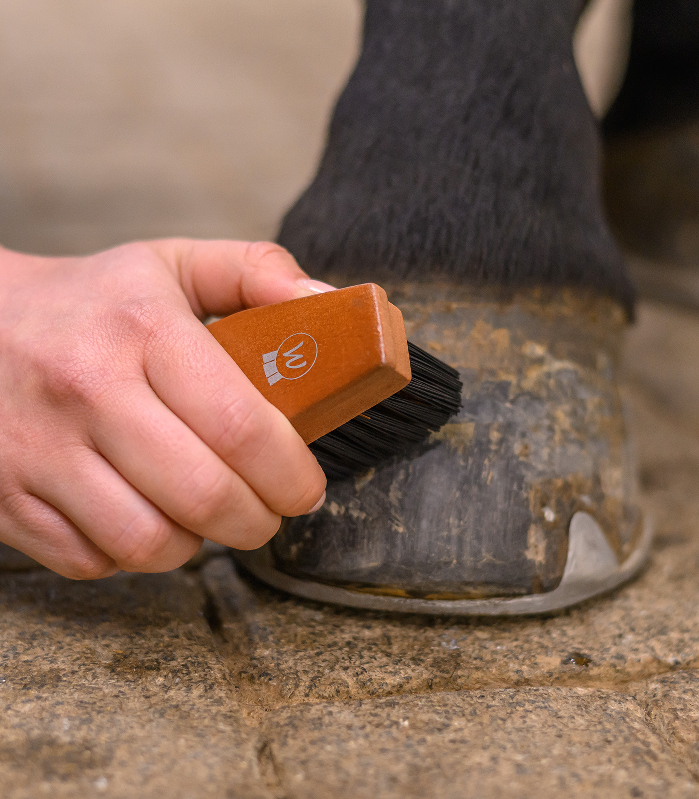 Brosse à sabots HardWood