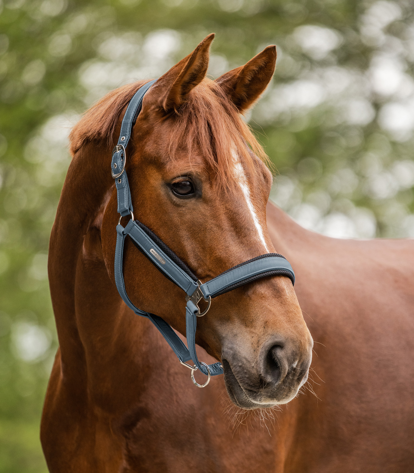 Breath Halter