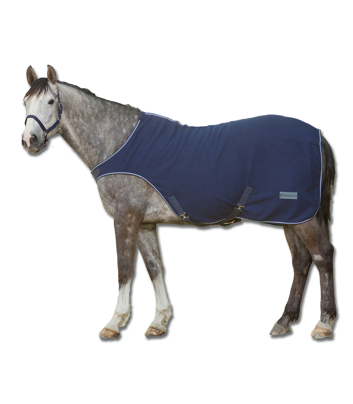 ECONOMIC Fleece Horse Walker Rug