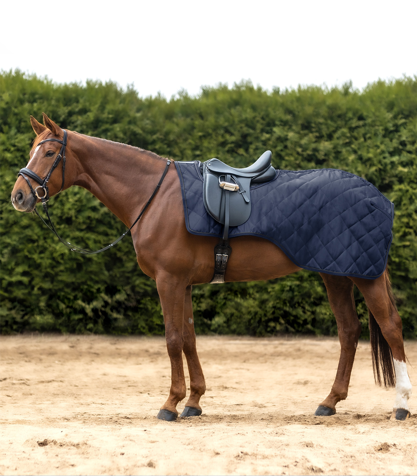 Exclusive Exercise Sheet night blue