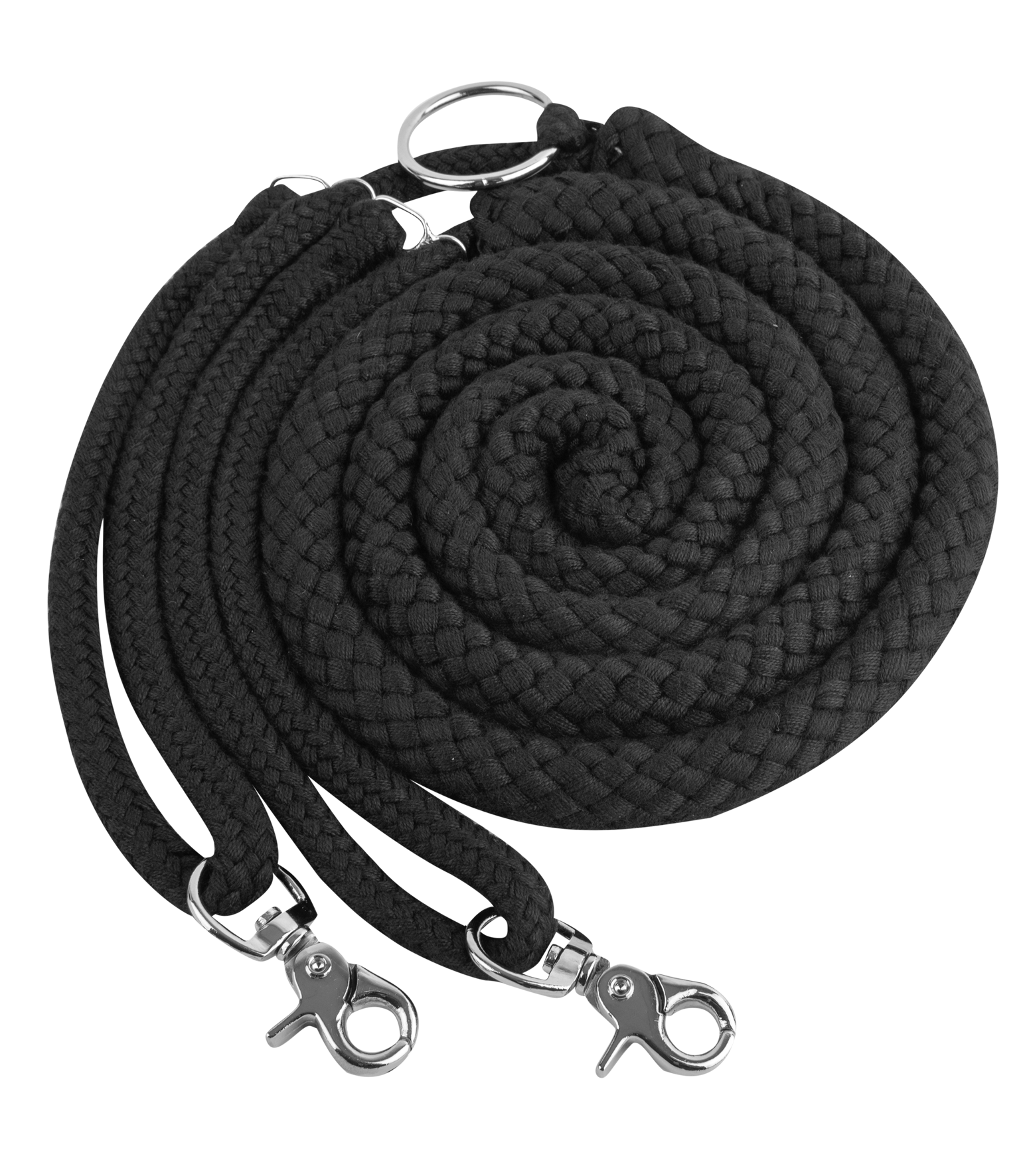 Lunging Aid black