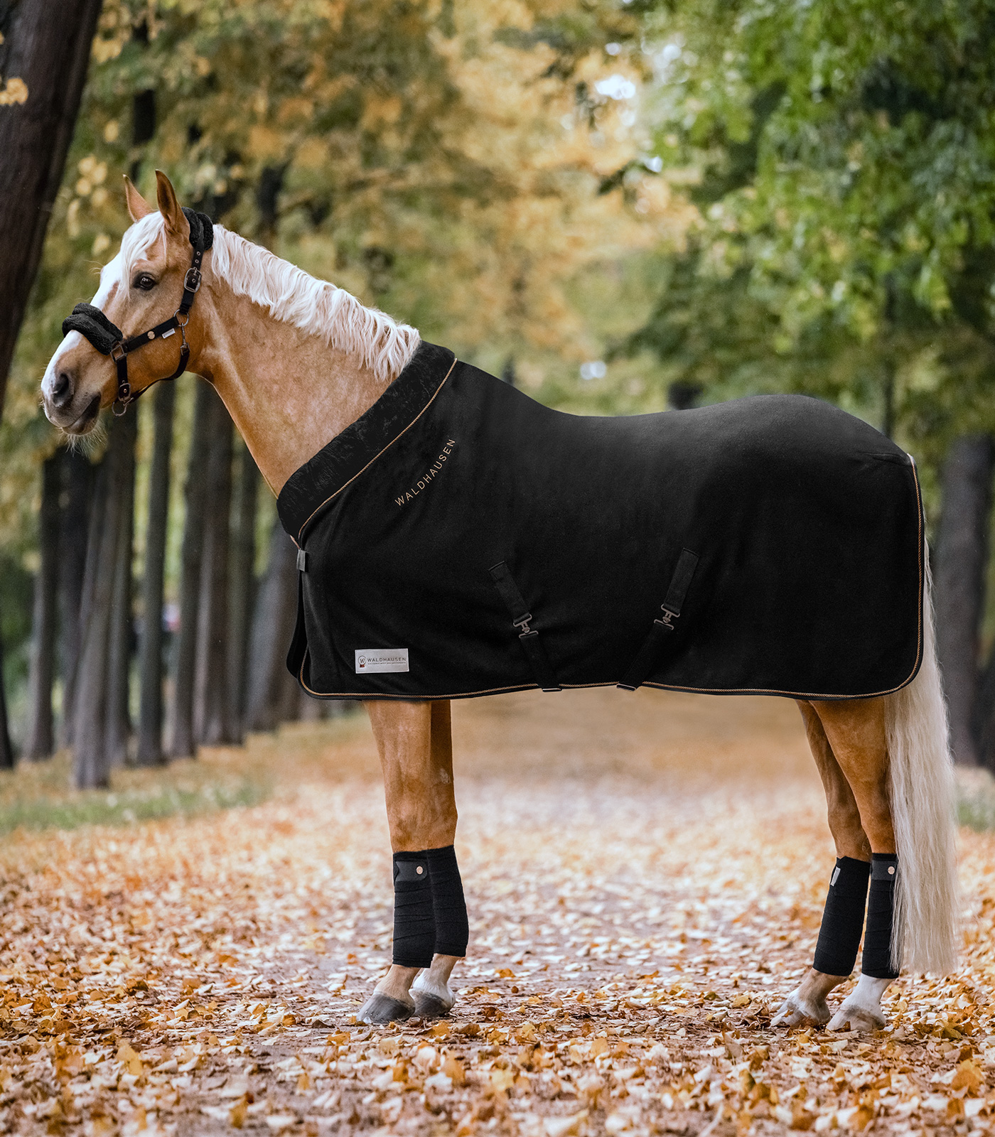 Modern Rosé Fleece Rug