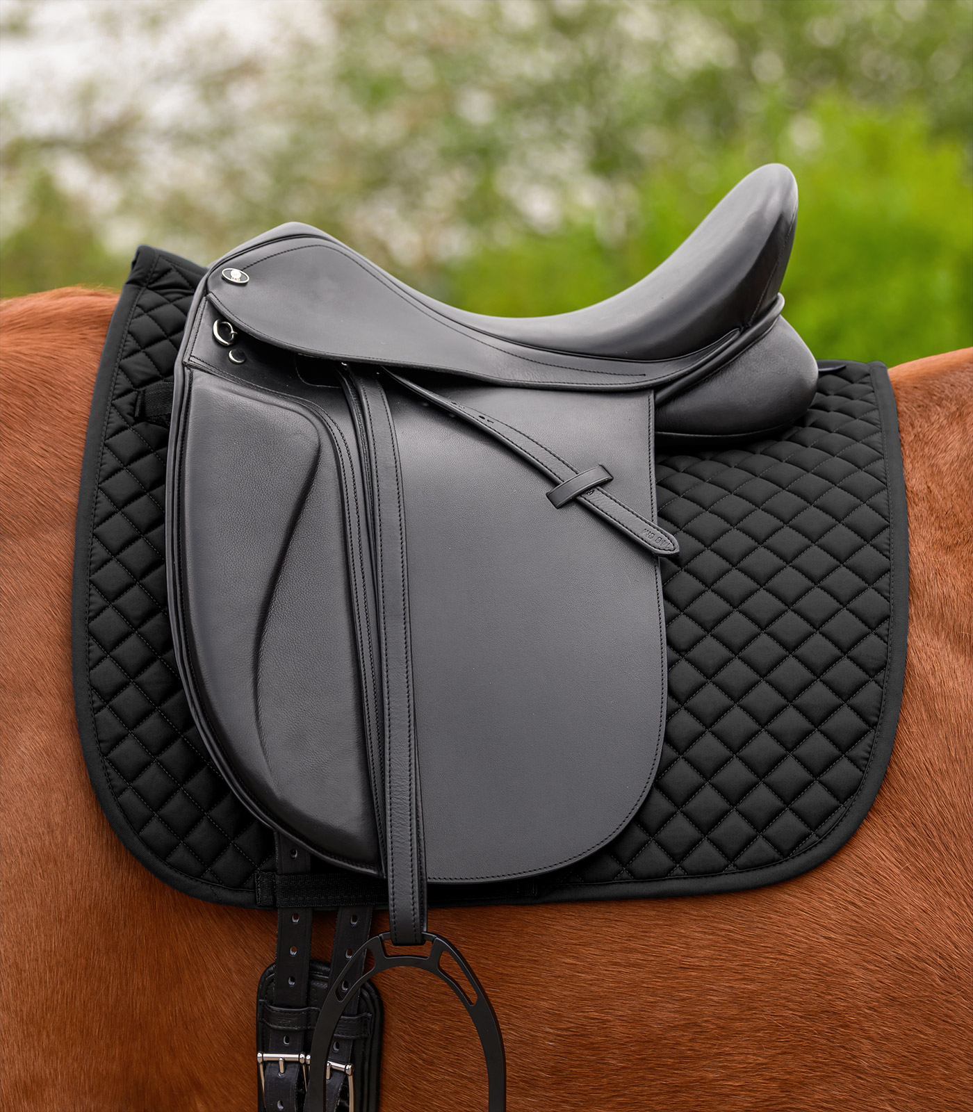 Schabracke Felix schwarz