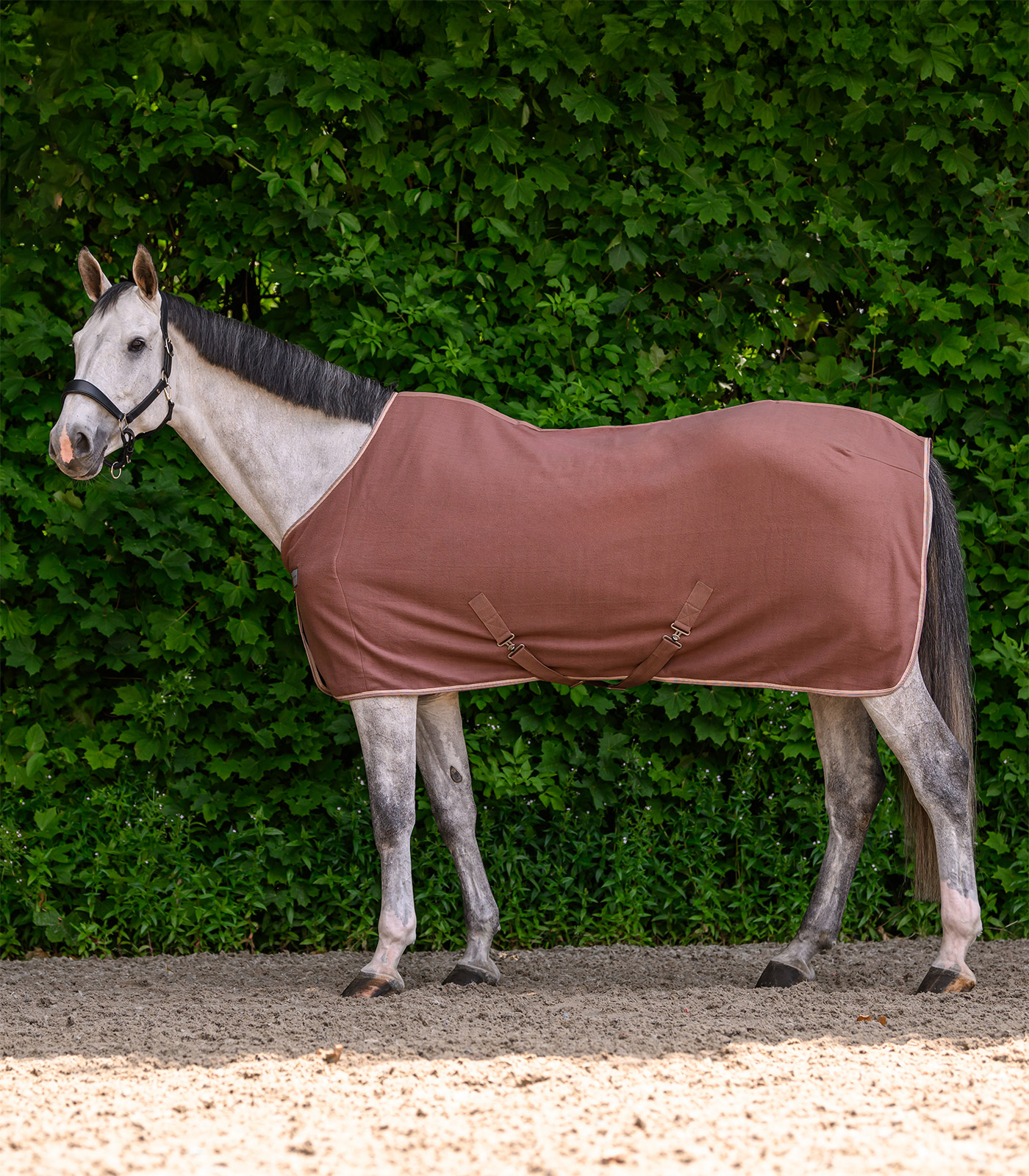 ECONOMIC Fleecedecke mit Kreuzgurten mocca