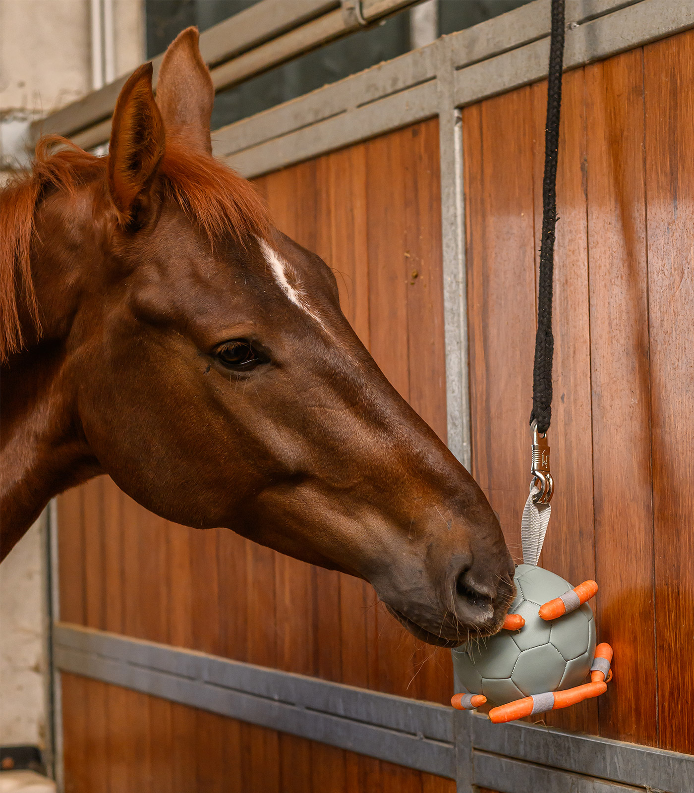 Palla con carote vischio