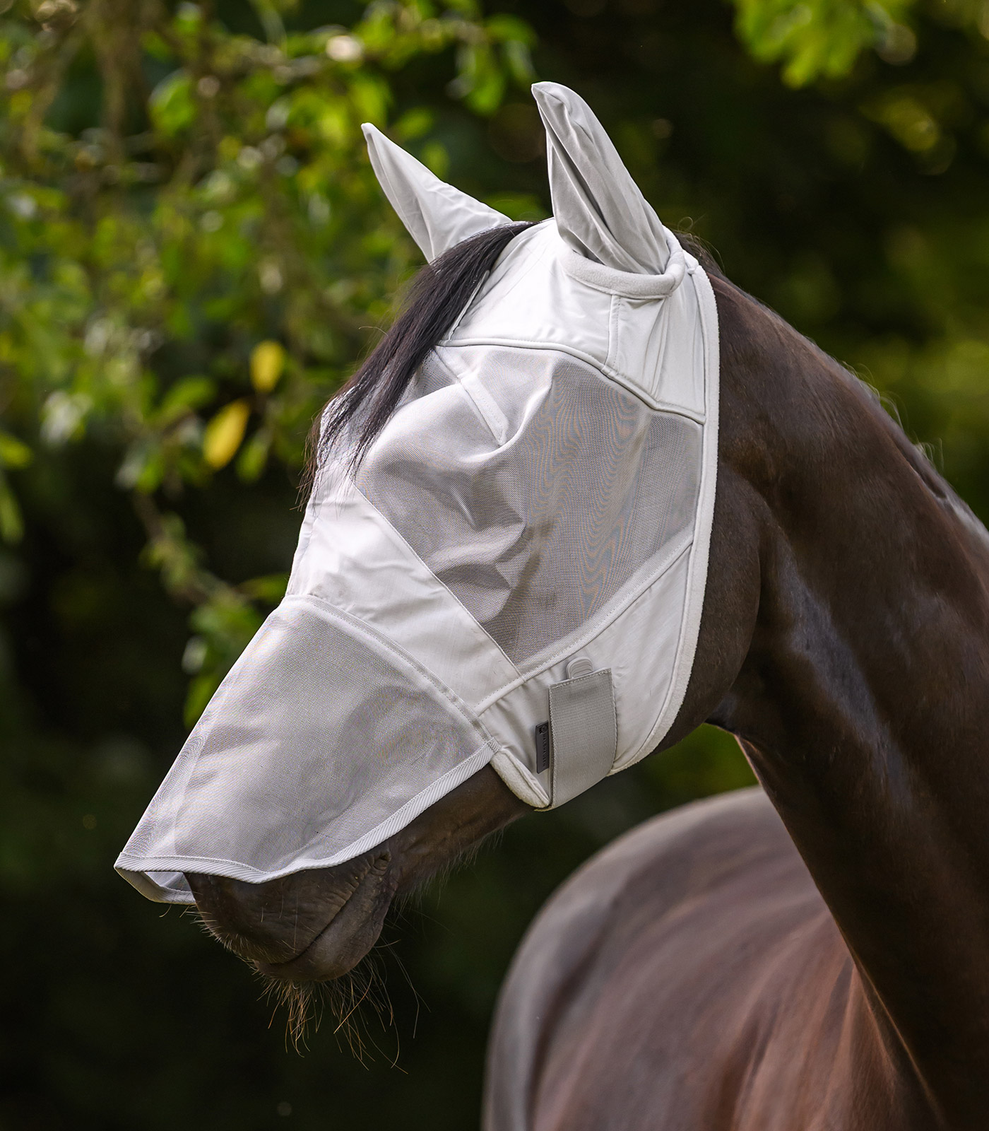 PREMIUM Fly mask with ear and nose protection PREMIUM Fly mask with ear and nose protection