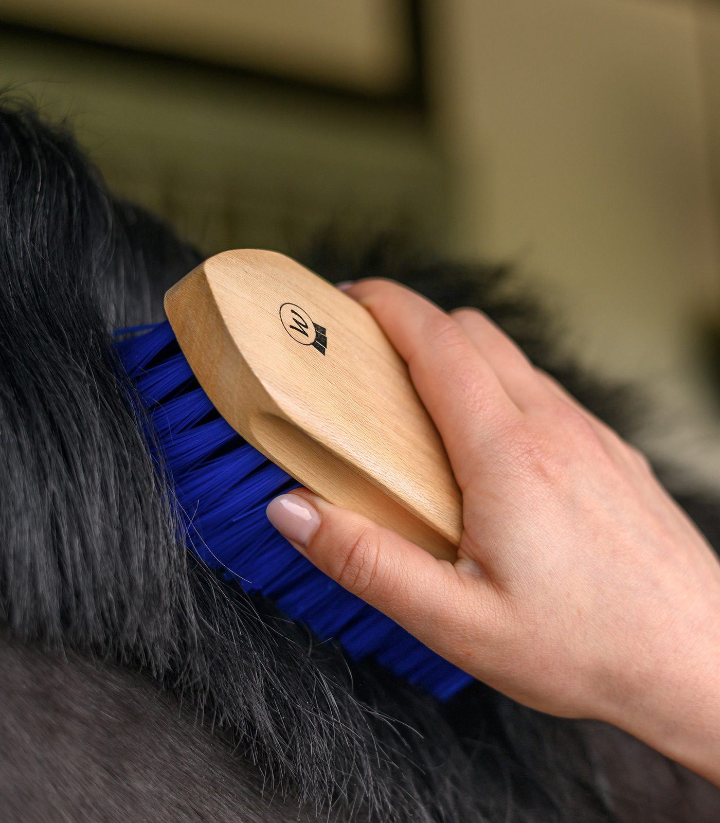 Mane Brush