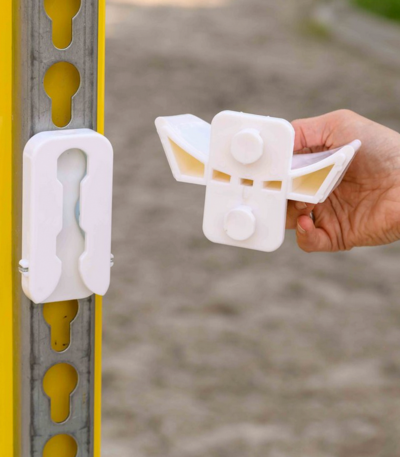 Image alternate text