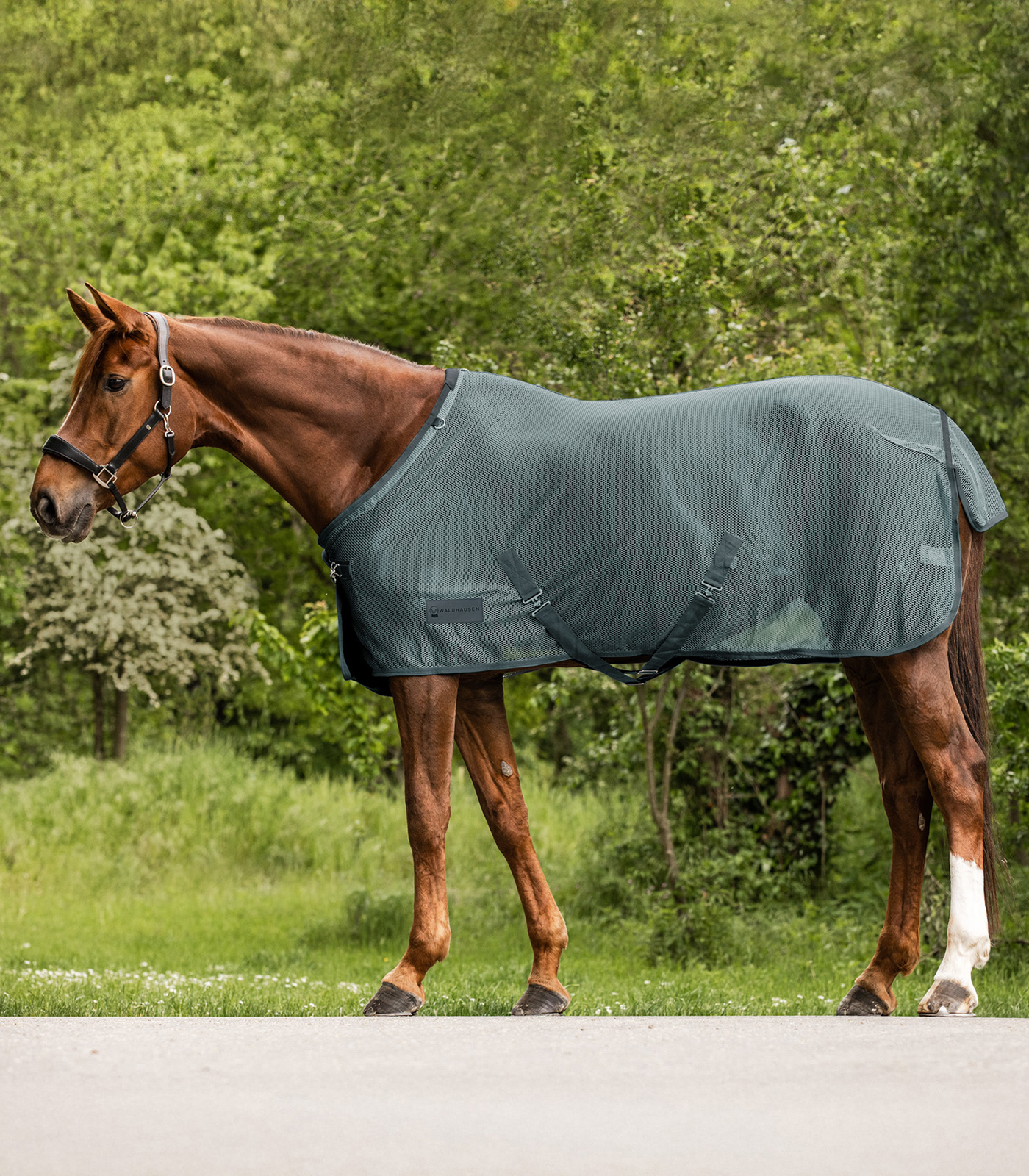 COMFORT Fly rug with cross surcingles pine green